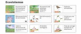 Medio Ambiente en Portal de ciencias con clips de video de Edumedia Sciences