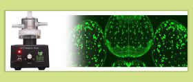 Qubit: Instrumentación para biología y ciencias biológicas en Colombia